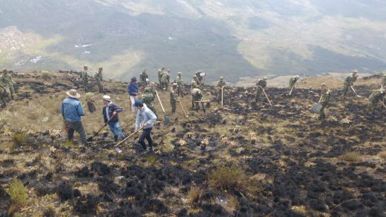 Tragedia ambiental en Boyacá: 2 incendios calcinaron más de 2.000 hectáreas: Tragedia ambiental en Boyacá: 2 incendios calcinaron más de 2.000 hectáreas Tragedia ambiental en Boyacá: 2 incendios calcinaron más de 2.000 hectáreas: Tragedia ambiental en Boyacá: 2 incendios calcinaron más de 2.000 hectáreas
