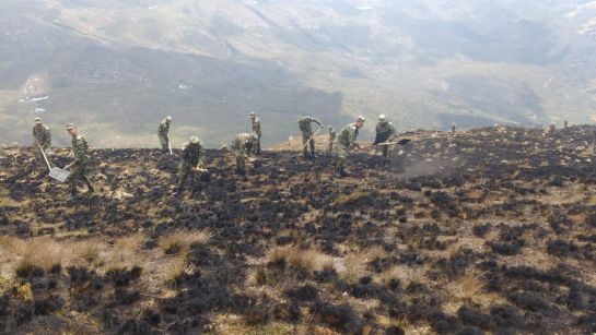 Tragedia ambiental en Boyacá: 2 incendios calcinaron más de 2.000 hectáreas: Tragedia ambiental en Boyacá: 2 incendios calcinaron más de 2.000 hectáreas Tragedia ambiental en Boyacá: 2 incendios calcinaron más de 2.000 hectáreas: Tragedia ambiental en Boyacá: 2 incendios calcinaron más de 2.000 hectáreas