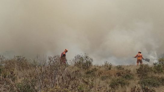 Incendios en Bogotá: Cuatro incendios afectan el sur de Bogotá Incendios en Bogotá: Cuatro incendios afectan el sur de Bogotá