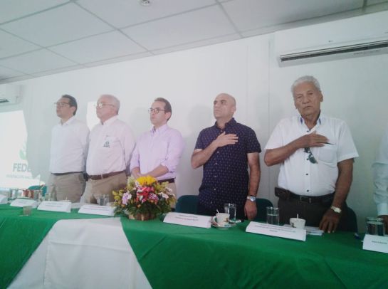 Agricultura: Compleja sigue siendo situación económica para arroceros del Tolima Agricultura: Compleja sigue siendo situación económica para arroceros del Tolima