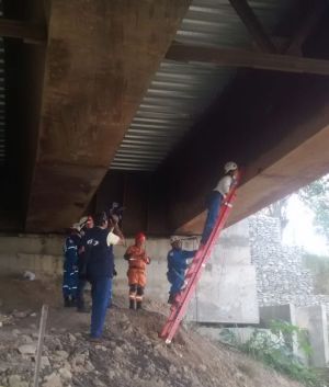 Parte baja del puente Helicoidal en Versalles en Calarcá, Quindío Parte baja del puente Helicoidal en Versalles en Calarcá, Quindío