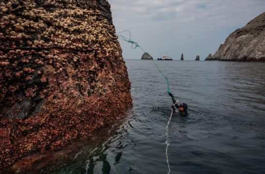 Pesca ilegal: Buques pesqueros ecuatorianos y de Costa Rica saquean santuario de Malpelo Pesca ilegal: Buques pesqueros ecuatorianos y de Costa Rica saquean santuario de Malpelo