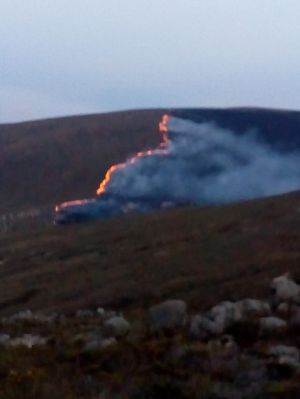 INCENDIO PARAMO BERLIN SANTANDER: Aún no se calculan las afectaciones de incendio en Páramo de Berlín INCENDIO PARAMO BERLIN SANTANDER: Aún no se calculan las afectaciones de incendio en Páramo de Berlín