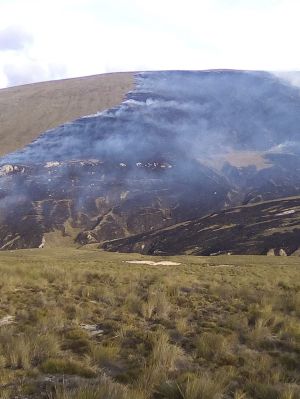 INCENDIO PARAMO BERLIN SANTANDER: Aún no se calculan las afectaciones de incendio en Páramo de Berlín INCENDIO PARAMO BERLIN SANTANDER: Aún no se calculan las afectaciones de incendio en Páramo de Berlín