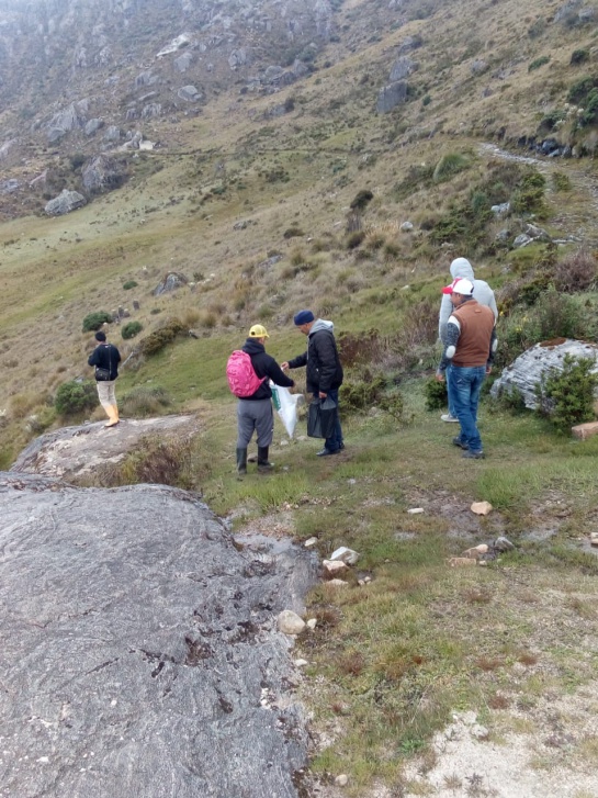 BASURAS PÁRAMO DE SANTURBÁN TURISTAS SANTANDER: Campesinos debieron asear el páramo BASURAS PÁRAMO DE SANTURBÁN TURISTAS SANTANDER: Campesinos debieron asear el páramo