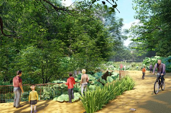 BUCARAMANGA CERROS ORIENTALES NATURALEZA: El parque que se proyecta en los cerros orientales BUCARAMANGA CERROS ORIENTALES NATURALEZA: El parque que se proyecta en los cerros orientales
