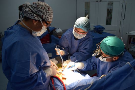 BUCARAMANGA OPERACIÓN TRASPLANTE CORAZON ARTIFICIAL: VIDEO: Así se implanta un corazón artificial BUCARAMANGA OPERACIÓN TRASPLANTE CORAZON ARTIFICIAL: VIDEO: Así se implanta un corazón artificial