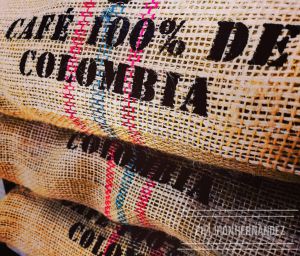 En el Quindío hay más de 5000 familias cafeteras. En el Quindío hay más de 5000 familias cafeteras.