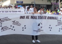 Polémica en Armenia por policía que le disparó a un perro y lo mató