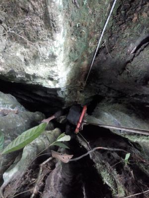 BUCARAMANGA COROMORO CAYÓ A UN HUECO DE 40 METROS SOBREVIVIÓ: Cayó a un hueco de 40 metros y sobrevivió BUCARAMANGA COROMORO CAYÓ A UN HUECO DE 40 METROS SOBREVIVIÓ: Cayó a un hueco de 40 metros y sobrevivió