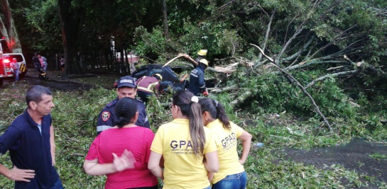 Lluvias en Ibagué: Fuertes lluvias causan emergencias en Ibagué Lluvias en Ibagué: Fuertes lluvias causan emergencias en Ibagué