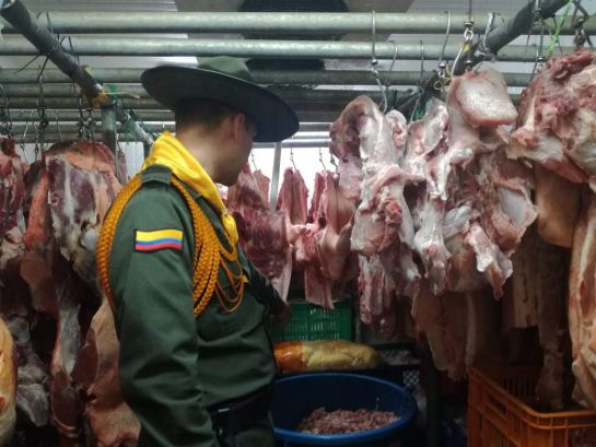 Carne en mal estado se vendía en Chinchiná Carne en mal estado se vendía en Chinchiná