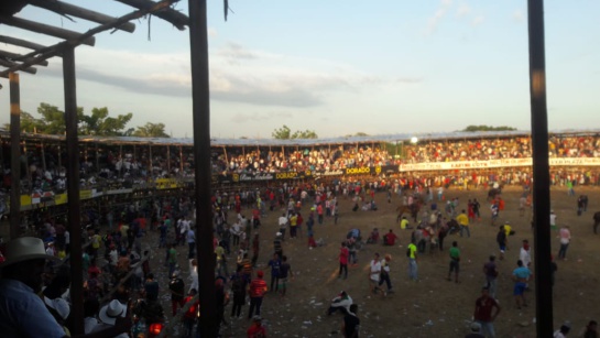 Suspenden corridas de toros: Suspenden corralejas de Corozal por fallas en la estructura Suspenden corridas de toros: Suspenden corralejas de Corozal por fallas en la estructura