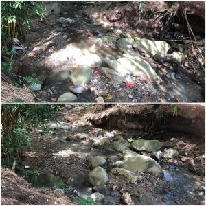 BUCARAMANGA QUEBRADA CONTAMINADA FLORIDABLANCA MALOS OLORES ESCOMBRES: Quebrada de la que sacaron 17 toneladas de basura está otra vez contaminada BUCARAMANGA QUEBRADA CONTAMINADA FLORIDABLANCA MALOS OLORES ESCOMBRES: Quebrada de la que sacaron 17 toneladas de basura está otra vez contaminada
