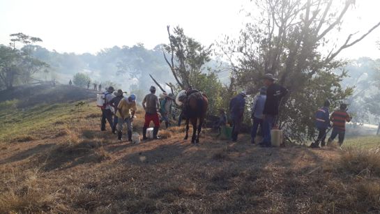 Incendio forestal en Puerto Boyacá: Incendio forestal en Puerto Boyacá destruyó parte de calzada de Ruta de Sol Incendio forestal en Puerto Boyacá: Incendio forestal en Puerto Boyacá destruyó parte de calzada de Ruta de Sol