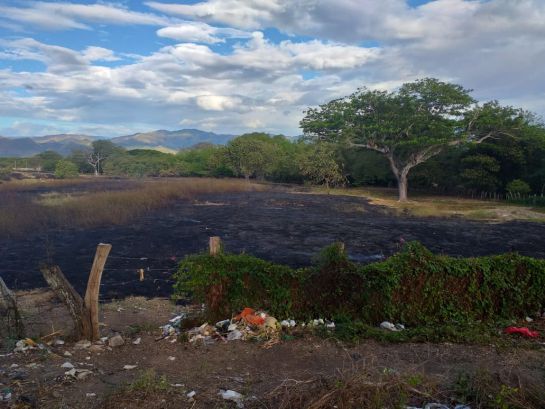 Incendios forestales en Tolima: Ardiendo en llamas continúan varias zonas del Tolima Incendios forestales en Tolima: Ardiendo en llamas continúan varias zonas del Tolima