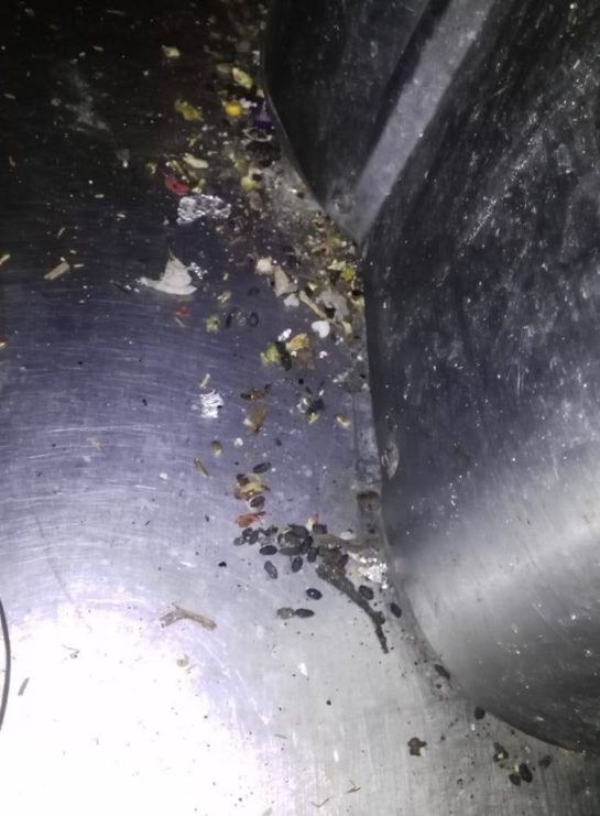 Locales en Neiva cerrados por sanidad: En Neiva restaurante y panadería fueron sellados por sanidad Locales en Neiva cerrados por sanidad: En Neiva restaurante y panadería fueron sellados por sanidad