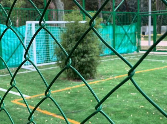 Tala de árboles del Parque Japón: Cancha del Parque Japón con árboles frente a las porterías Tala de árboles del Parque Japón: Cancha del Parque Japón con árboles frente a las porterías