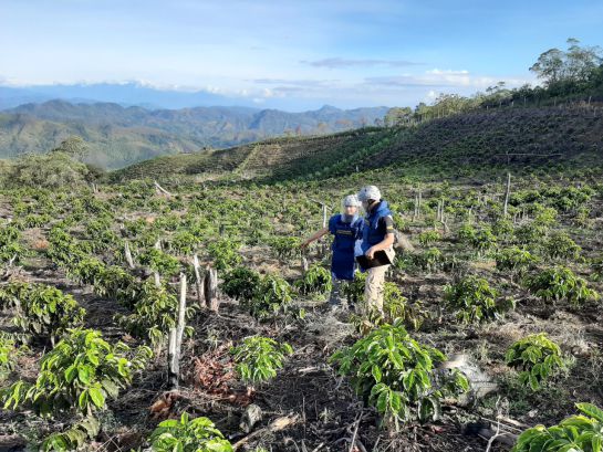 Minas antipersonales en el Huila: En el Huila 12 municipios están libres de contaminación de minas Minas antipersonales en el Huila: En el Huila 12 municipios están libres de contaminación de minas