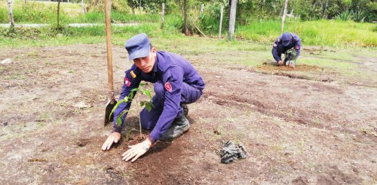 Minas antipersonales en el Huila: En el Huila 12 municipios están libres de contaminación de minas Minas antipersonales en el Huila: En el Huila 12 municipios están libres de contaminación de minas