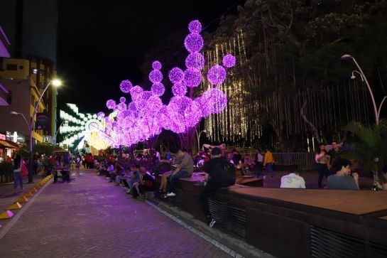 Cali alumbrado: Vive el alumbrado de navidad en “Mi Cali Bonita” Cali alumbrado: Vive el alumbrado de navidad en “Mi Cali Bonita”