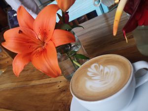 CAFÉ: Expo Sabor 2019, y el concurso Quindío Café y Sabor en Armenia CAFÉ: Expo Sabor 2019, y el concurso Quindío Café y Sabor en Armenia