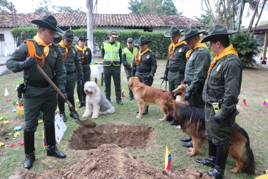 Sepelio perro de la Policía: Video: El sepelio de Dacota Vincent, el perro policía más condecorado Sepelio perro de la Policía: Video: El sepelio de Dacota Vincent, el perro policía más condecorado