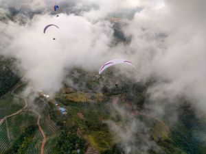 Campeonato de parapente: Interrumpido el Campeonato British Open de Parapente en Roldanillo Campeonato de parapente: Interrumpido el Campeonato British Open de Parapente en Roldanillo