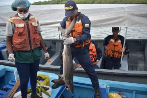 Pesca Ilegal: Capturados 3 hombres que realizaban pesca ilegal cerca de Malpelo Pesca Ilegal: Capturados 3 hombres que realizaban pesca ilegal cerca de Malpelo