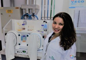 Apuesta por el biocombustible: ¿Biocombustible del bagazo de la caña de azúcar? Apuesta por el biocombustible: ¿Biocombustible del bagazo de la caña de azúcar?