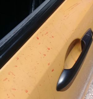 En el sector del CAM, una mujer arrojo líquido rojo sobre un taxista en Armenia En el sector del CAM, una mujer arrojo líquido rojo sobre un taxista en Armenia