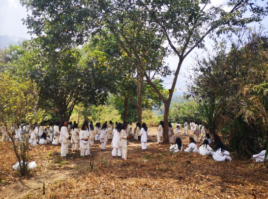 Preocupación por la Sierra Nevada de Santa Marta: El trámite de peticiones de indígenas de la Sierra Nevada de Santa Marta Preocupación por la Sierra Nevada de Santa Marta: El trámite de peticiones de indígenas de la Sierra Nevada de Santa Marta