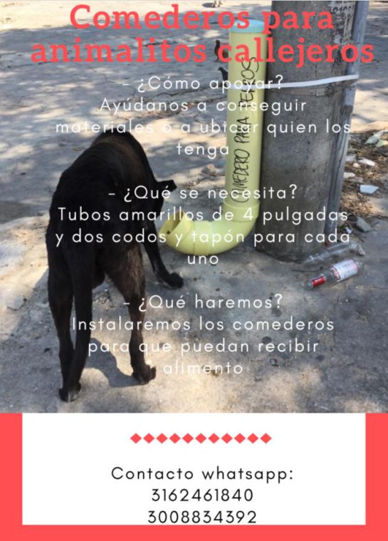 comida para animales: Instalan comederos para animales afectados por la cuarentena comida para animales: Instalan comederos para animales afectados por la cuarentena