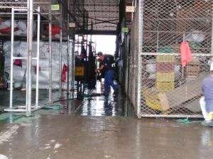 Jornadas de desinfección: Con jornada de desinfección Cavasa evita la llega del Covid-19 Jornadas de desinfección: Con jornada de desinfección Cavasa evita la llega del Covid-19
