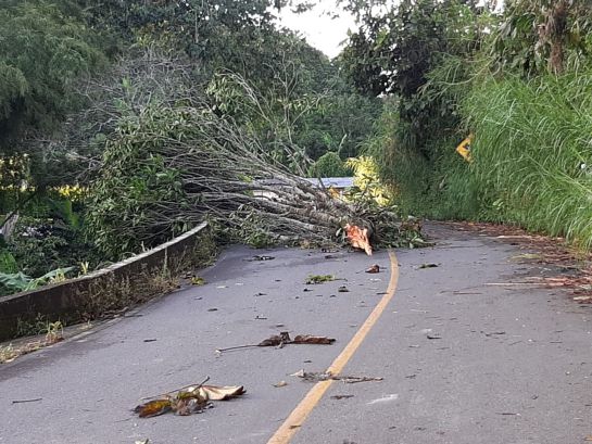 Afectaciones por vendaval en veredas de Marquetalia Afectaciones por vendaval en veredas de Marquetalia