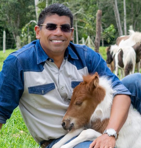 Vikingo: el poni más hermoso de Colombia: Vikingo: el poni más hermoso de Colombia Vikingo: el poni más hermoso de Colombia: Vikingo: el poni más hermoso de Colombia