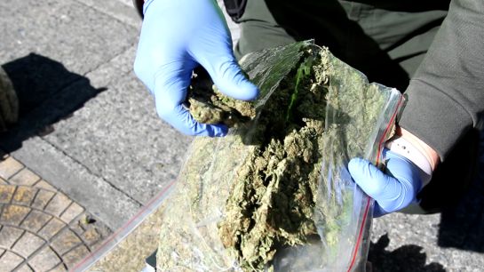 Incautación de Marihuana en vías de Caldas. Incautación de Marihuana en vías de Caldas.