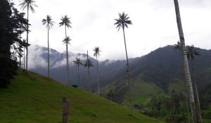 TURISMO: Quindío se fortalece en turismo de naturaleza, aventura y diversión TURISMO: Quindío se fortalece en turismo de naturaleza, aventura y diversión