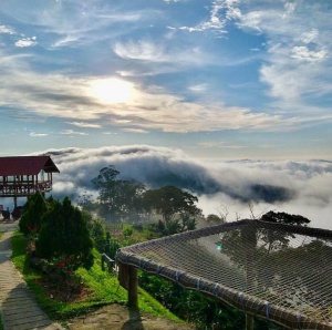 Viajes para vacacionar Fin de Año: Ecoturismo en el Magdalena, ideal para vacacionar durante época de Navidad Viajes para vacacionar Fin de Año: Ecoturismo en el Magdalena, ideal para vacacionar durante época de Navidad