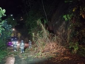 Deslizamiento de tierra en la vía de la curva al diablo en Armenia, dos familias evacuadas Deslizamiento de tierra en la vía de la curva al diablo en Armenia, dos familias evacuadas