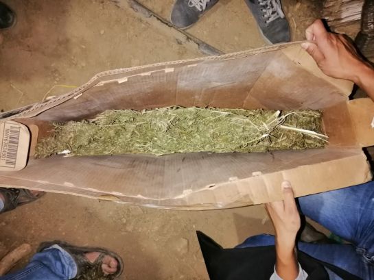 Desmantelada fábrica de marihuana. Desmantelada fábrica de marihuana.