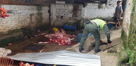 Restos de caballos en matadero clandestino Restos de caballos en matadero clandestino