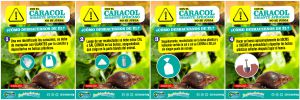 Corpamag previene sobre la aparición de Caracoles Africanos Corpamag previene sobre la aparición de Caracoles Africanos