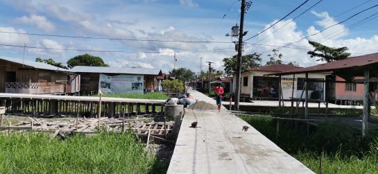 Foto Foto