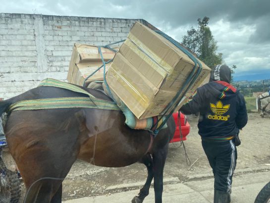 El paso de contrabando de toda clase de mercancías El paso de contrabando de toda clase de mercancías