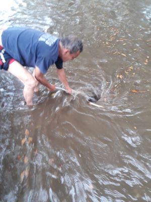 Inundación en varios sectores de Circasia por fuerte aguacero Inundación en varios sectores de Circasia por fuerte aguacero