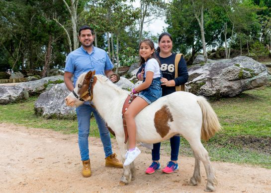 PONY PARQUE: el maravilloso mundo de los ponis PONY PARQUE: el maravilloso mundo de los ponis