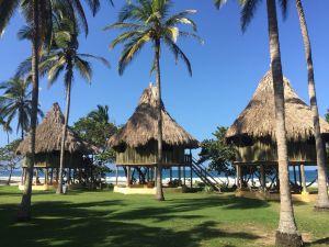 Ruta de reactivación Playa Brava Teyumakke: Playa Brava Teyumakke 'enamora' con una imagen abstracta indígena Ruta de reactivación Playa Brava Teyumakke: Playa Brava Teyumakke 'enamora' con una imagen abstracta indígena