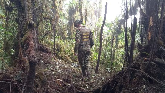 Uniformados del Ejército Nacional encontraron los elementos en varias veredas de este municipio. Uniformados del Ejército Nacional encontraron los elementos en varias veredas de este municipio.