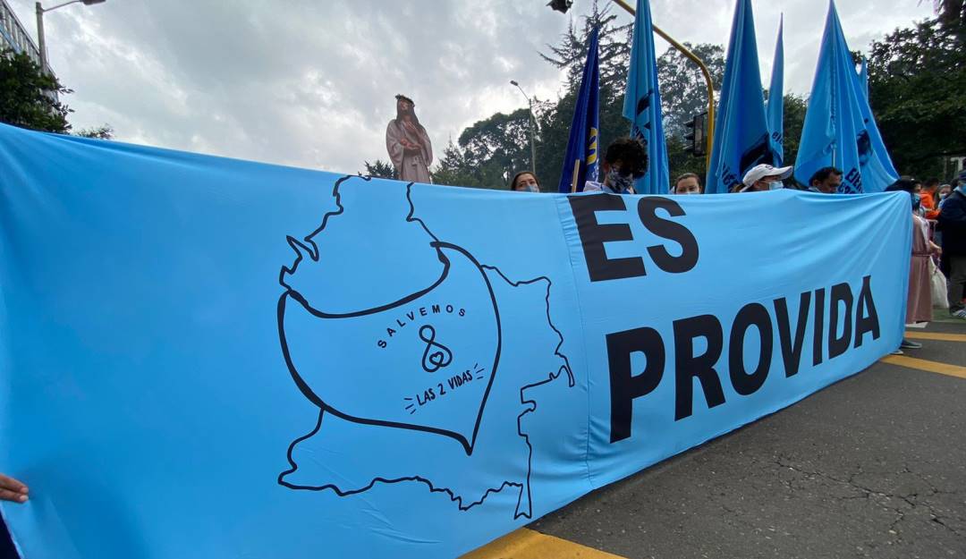 Marcha Provida / Claudia Camila Vargas Marcha Provida / Claudia Camila Vargas